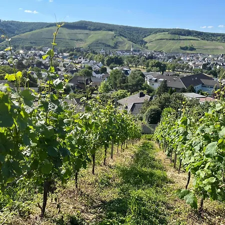 Mausberg * Bad Neuenahr-Ahrweiler