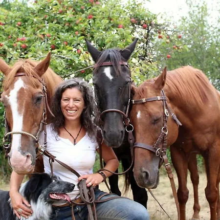 Mausberg * Bad Neuenahr-Ahrweiler
