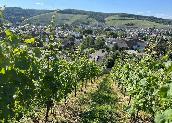 Mausberg * Bad Neuenahr-Ahrweiler