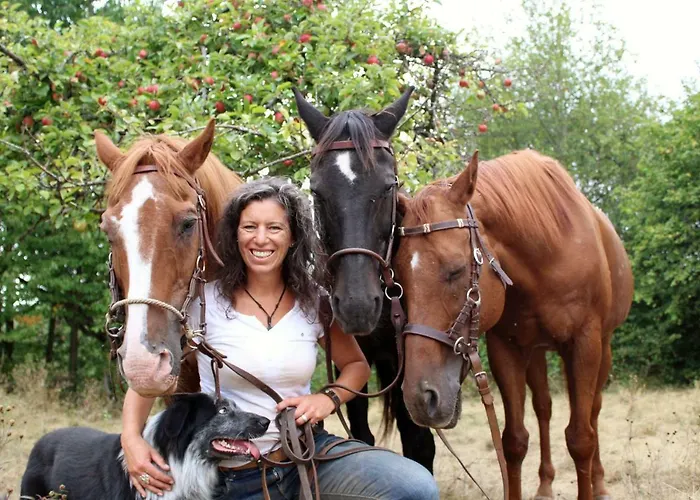 Mausberg * Bad Neuenahr-Ahrweiler